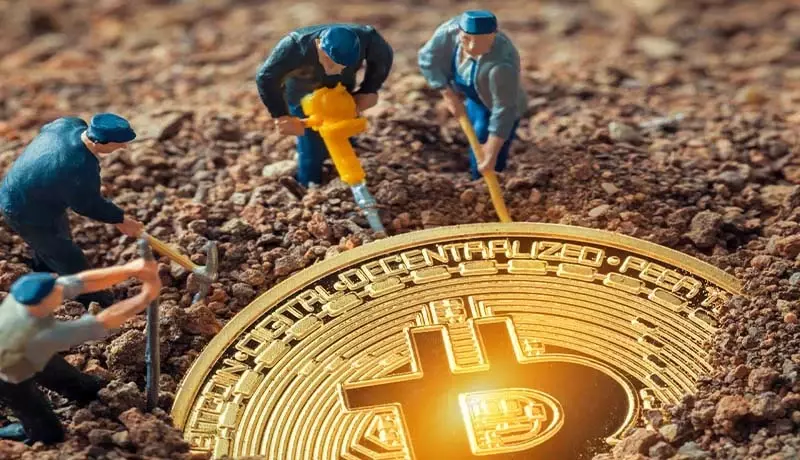 سیگنال مثبت نهنگها / بزرگترین نهنگ بیتکوین جهان کیست؟ سیگنال مثبت نهنگها / بزرگترین نهنگ بیتکوین جهان کیست؟