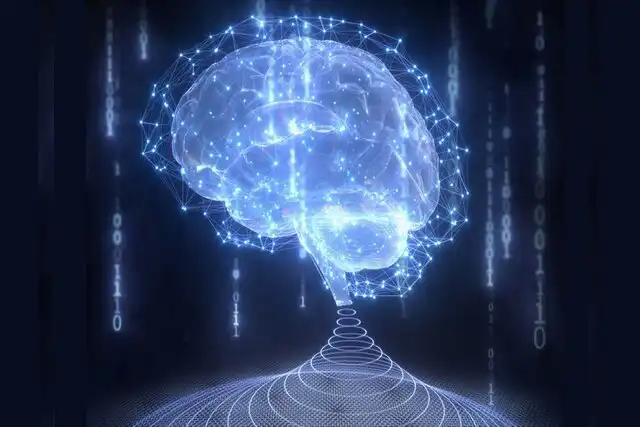 چاپ ۳ بعدی اولین بافت زنده مغز انسان