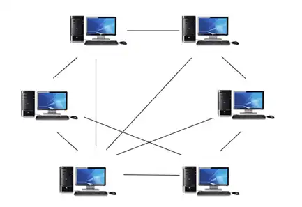 معماری شبکه های کامپیوتری 2 شبکه Peer-To-Peer