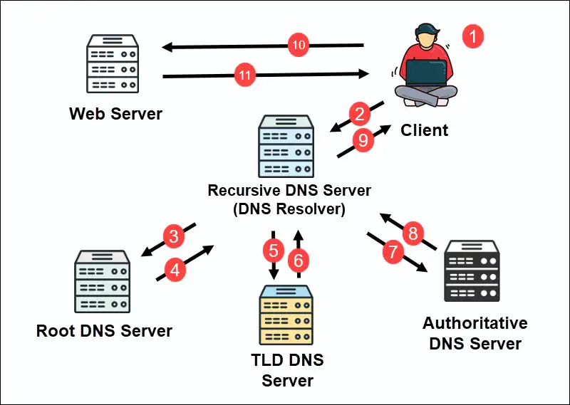 یک سرور DNS چیست؟