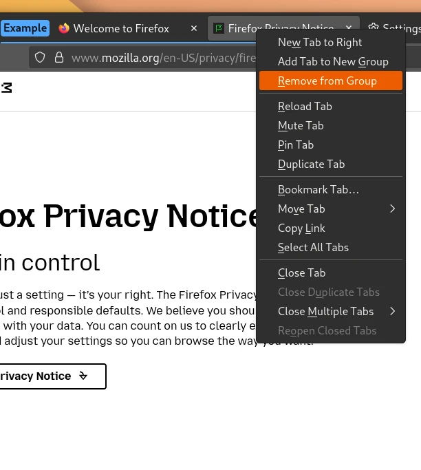 Mozilla Firefox 138 اکنون برای بارگیری در دسترس است، در اینجا موارد جدید آورده شده است. 7 Mozilla Firefox 138