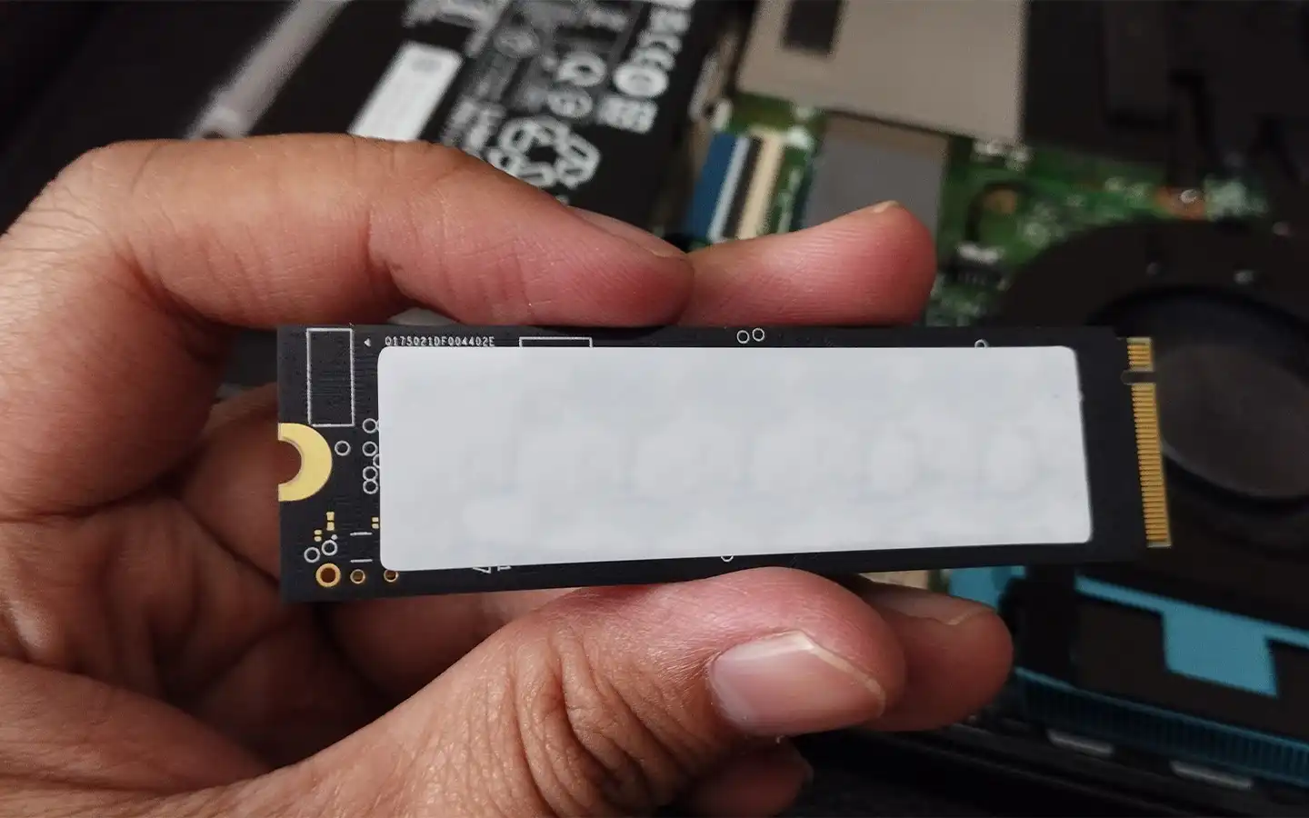 انواع ssd 3 M.2 SSD