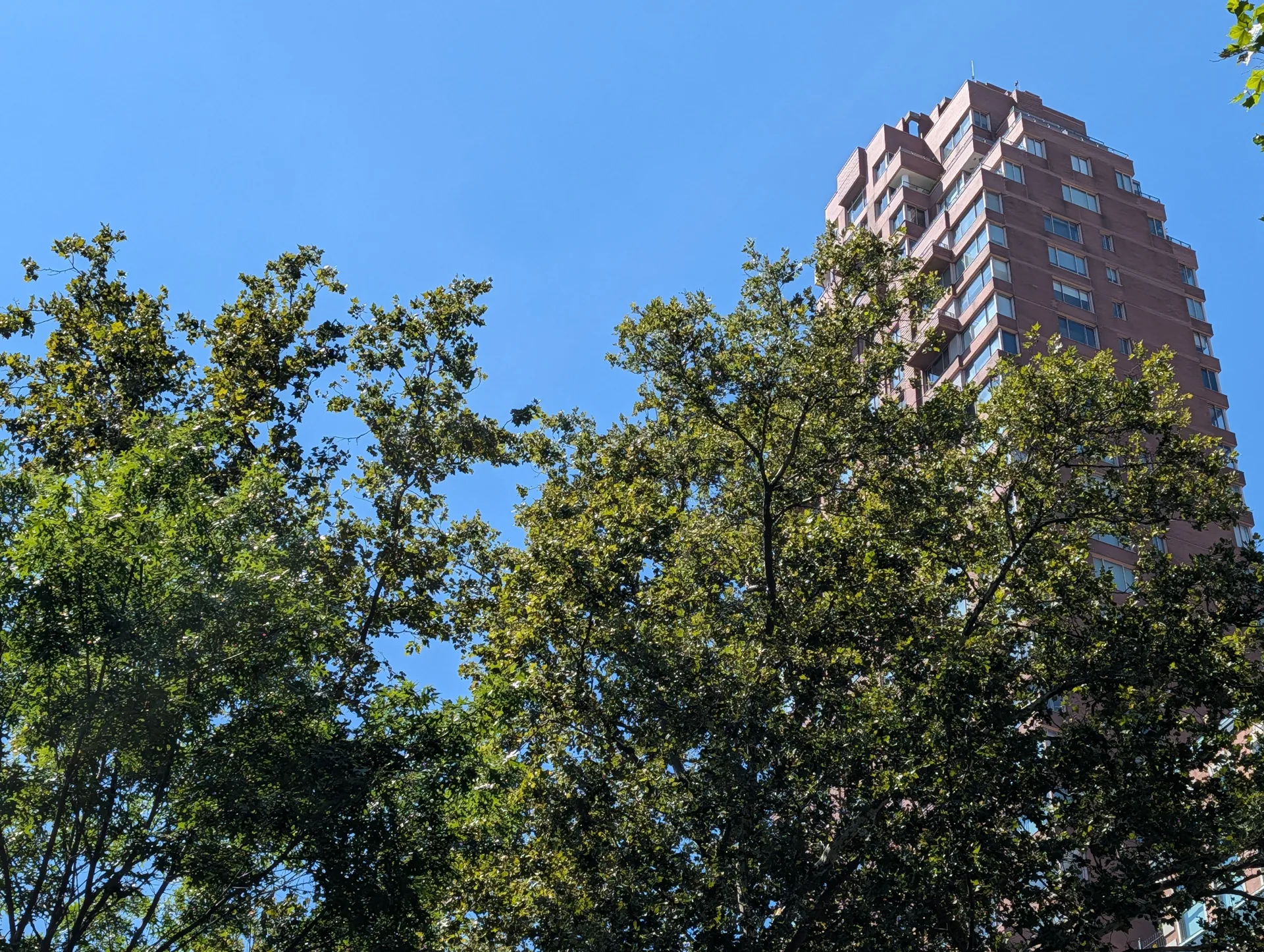 گوگل پیکسل 10 پرو ایکسال 14 گوگل پیکسل 10 پرو ایکسال