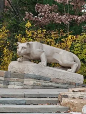 من از وانپلاس ۱۵ عصبانی نیستم، فقط ناامیدم. 18 من از وانپلاس ۱۵ عصبانی نیستم، فقط ناامیدم.