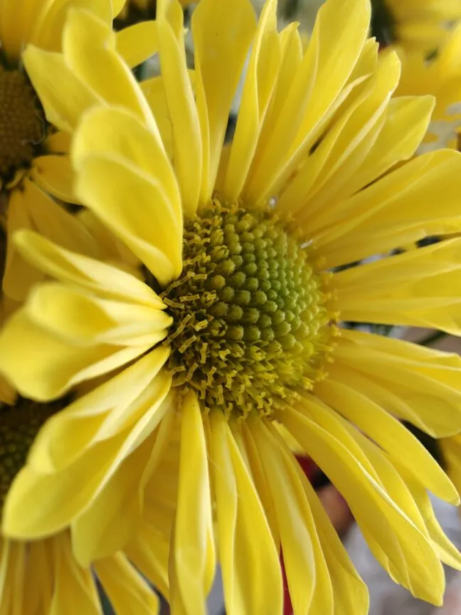 من از وانپلاس ۱۵ عصبانی نیستم، فقط ناامیدم. 14 من از وانپلاس ۱۵ عصبانی نیستم، فقط ناامیدم.