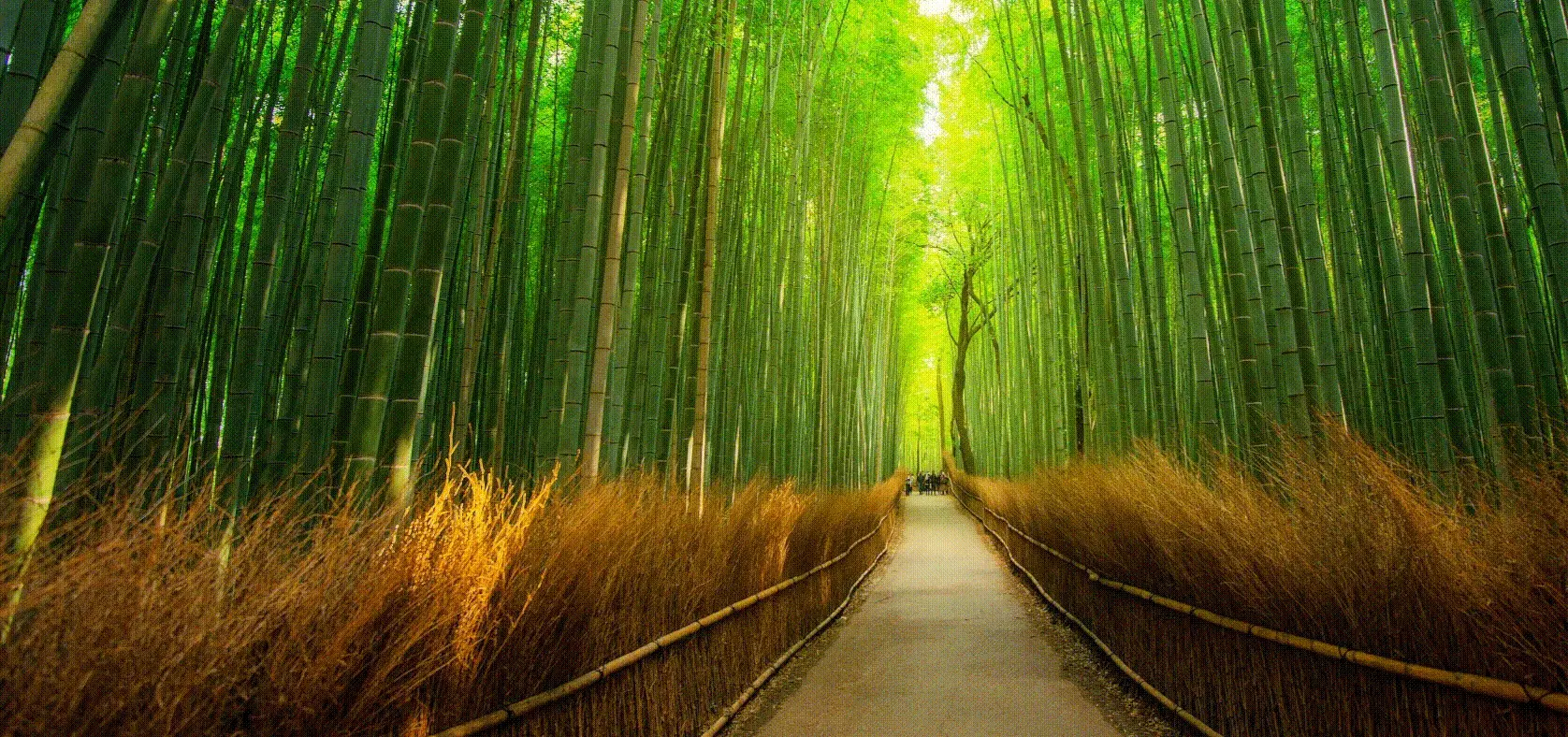 رفع خطا: برنامه قادر به شروع نشد (0xc000007b) 4 رفع خطا: برنامه قادر به شروع نشد (0xc000007b)