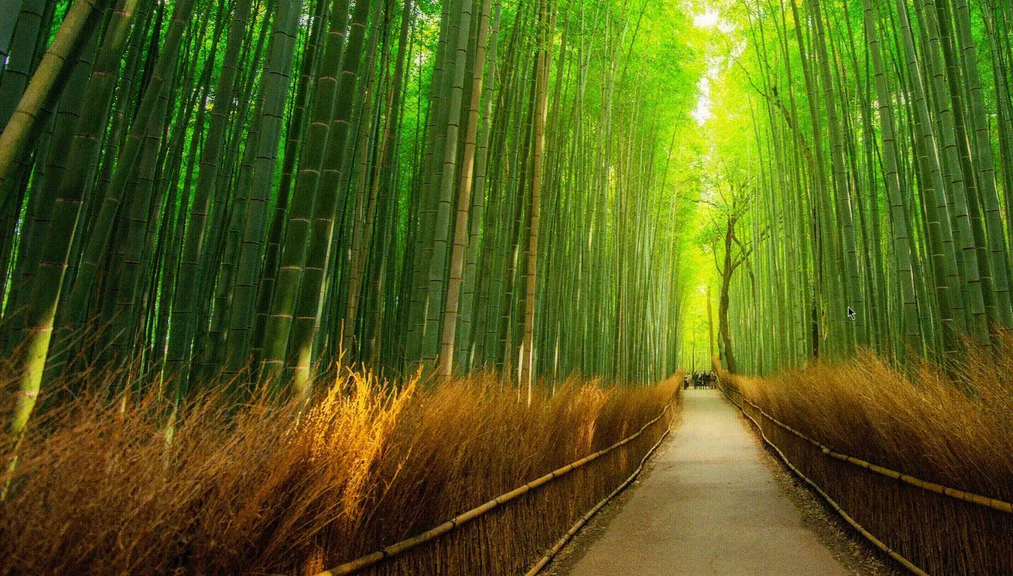 رفع خطا: برنامه قادر به شروع نشد (0xc000007b) 3 رفع خطا: برنامه قادر به شروع نشد (0xc000007b)