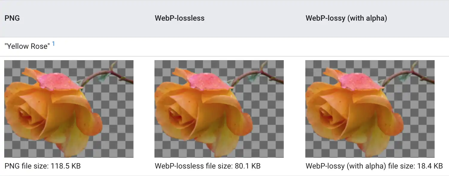 فرمت WebP چیست و چگونه حجم تصاویر سایت را کم کنیم؟ 1 WebP چیست؟ آموزش کاهش حجم تصاویر سایت و بهبود سرعت